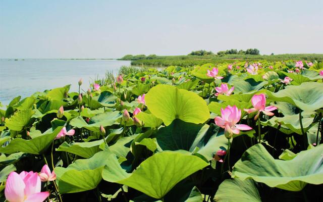 Волга Дельта