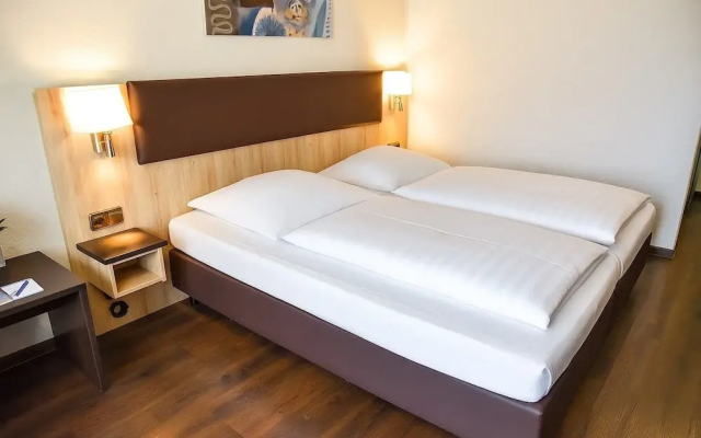 Hotel Blauer Karpfen
