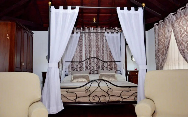 Hotel Drago San Antonio