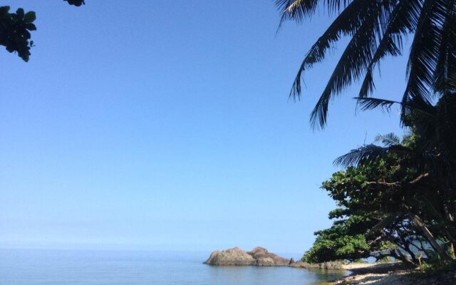 Paradise Palms