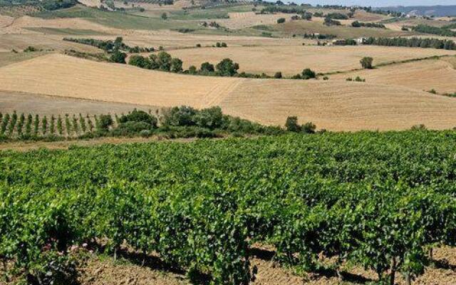 Azienda Agricola Parmoleto