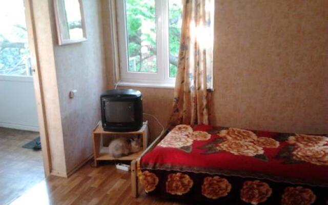 Guest House Novorossiyskaya 47