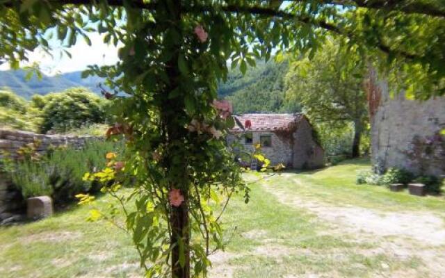 San Godenzo Casa Grande 2