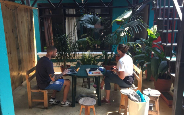 Greenhouse Hostel
