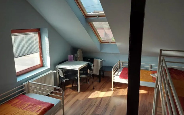 Vadgesztenye Youth Hostel