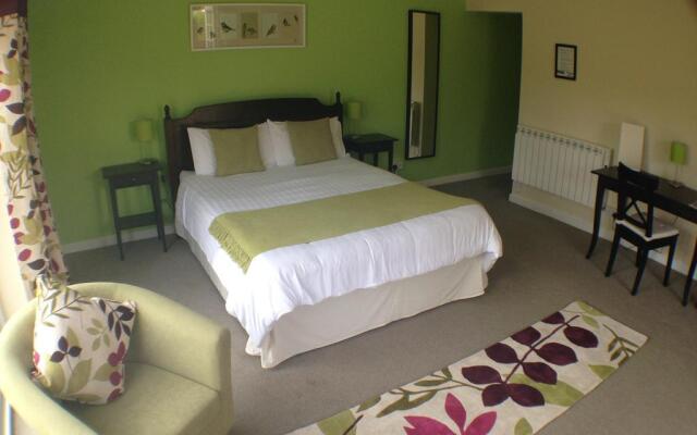 Primrose Lodge B&B