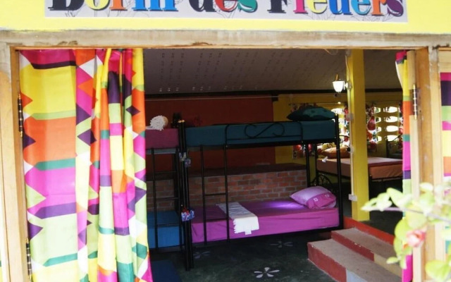 Dorm Des Fleurs