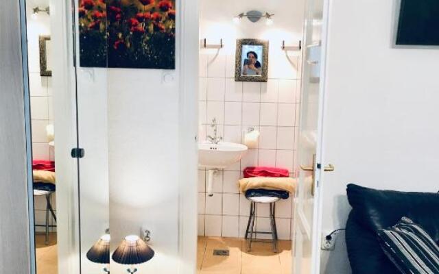 Romantic studio in the hills of Budapest