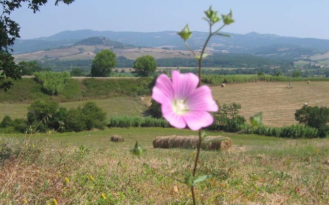 Agriturismo Le Casette