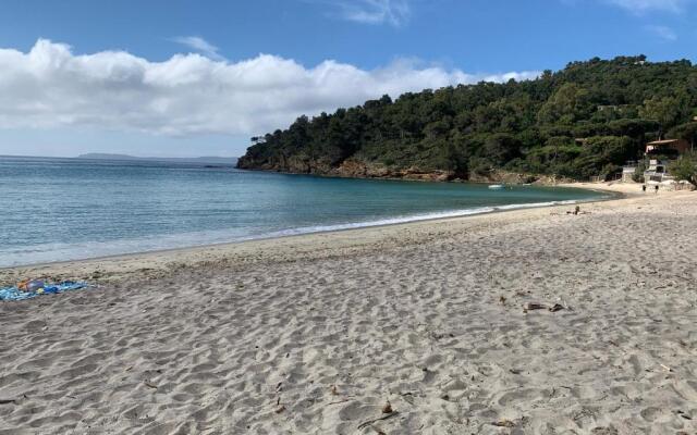 Studio/jardin/piscine/plage Le Lavandou Pramousquier
