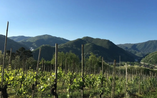 Tenuta La Fratta Apartments