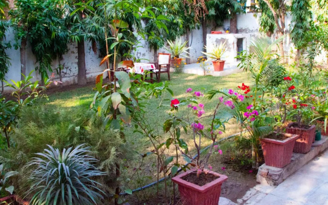Falcon Guest House