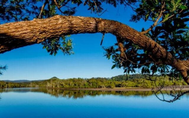 Reflections Ferry Reserve - Holiday Park