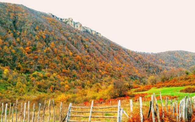 Discover Kinchkha