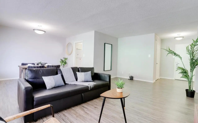 Modern Apartment At Crystal City