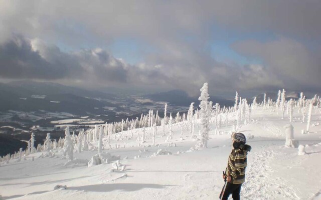 Gästehaus Schmalzreich