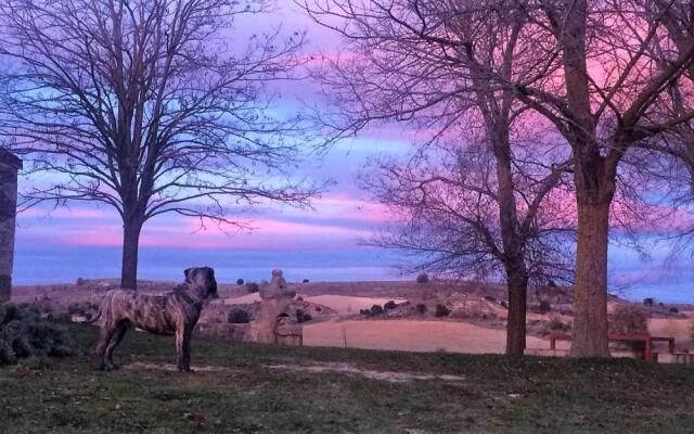 Apartamento Ribera del Duero Reserva