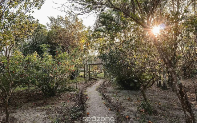 Quiet Site 2.7 km From the Beach of Rosa Stg2085