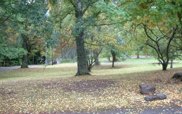 Aviemore Youth Hostel
