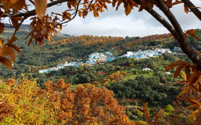 Secret Garden Retreats