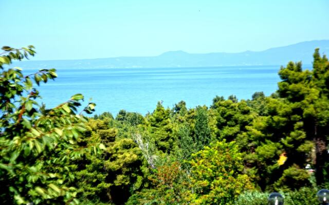 Seaview Studios