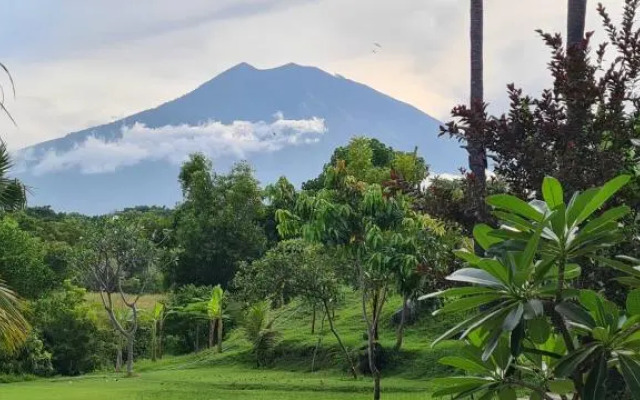 Palm Springs Bali Dive Resorts