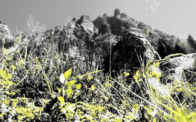 Sporthotel  Bachmann