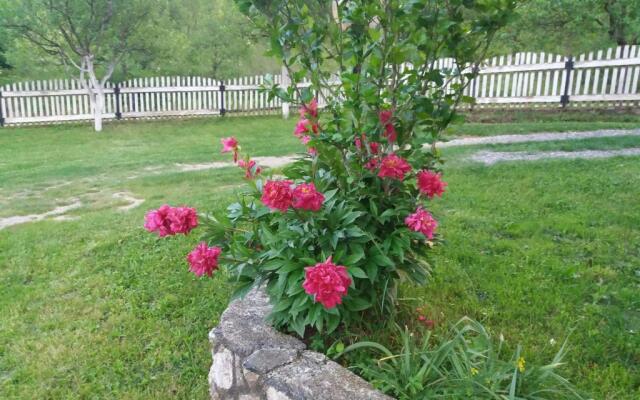 Apartment Una Strbacki Buk