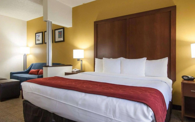 Comfort Suites Central/I-44