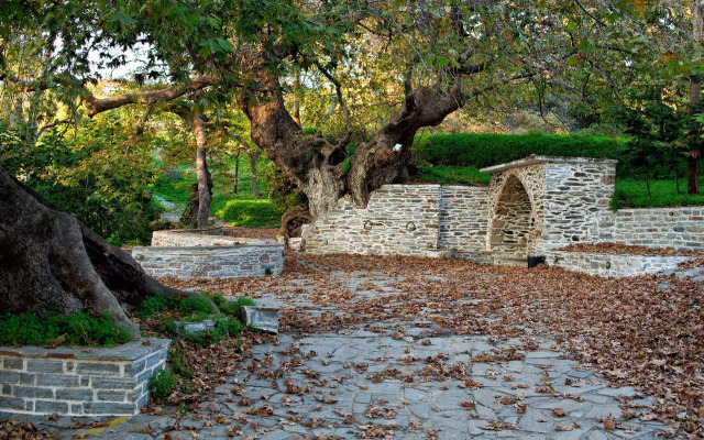 Venus Beach Bungalows Hotel