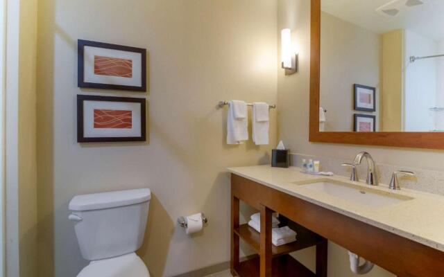 Comfort Inn & Suites Mandan - Bismarck