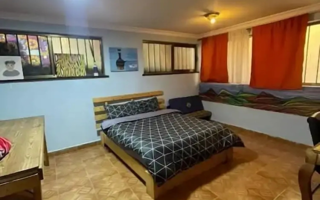 Mad Vervet Hostel - Addis