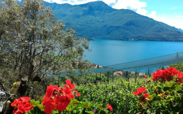 Valtellinaguesthouse