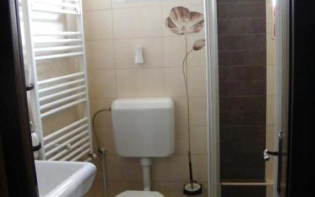 Brasovul Vechi Apartment