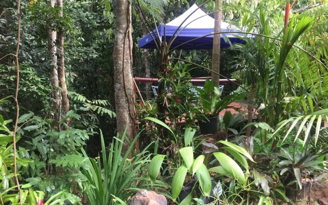 Tropical Bliss Bed and Breakfast