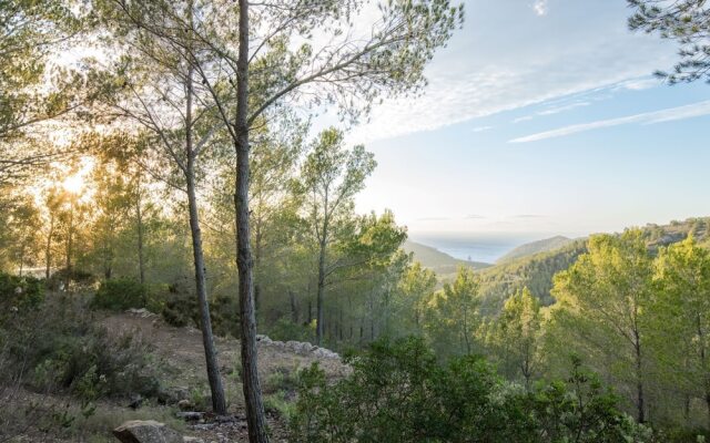 Stunning Finca in North Ibiza