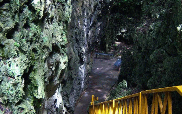 Warner Leisure Hotel