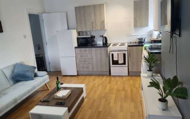 Cozy and Central City Apartment in Liverpool