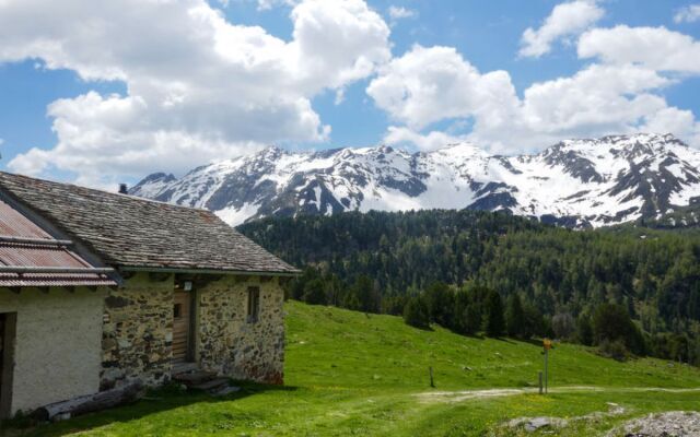 Rustico Dolomia
