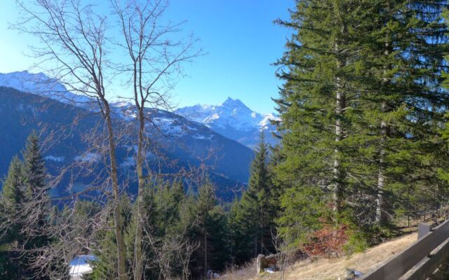 Les Arsets 01/203
