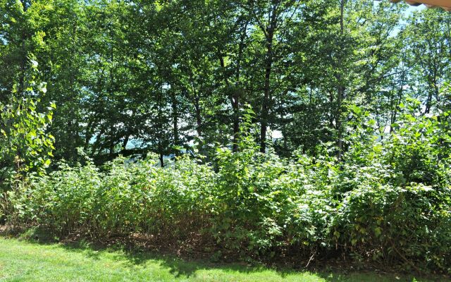 Nordic Village Resort