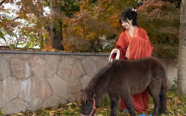 Wuzhen View Homestay