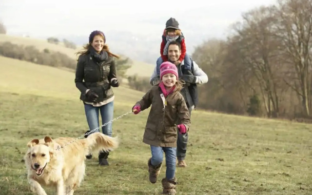 The Dinney Bed and Breakfast