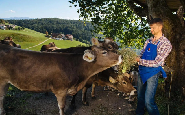 Mair am Graben Farm * Chalets