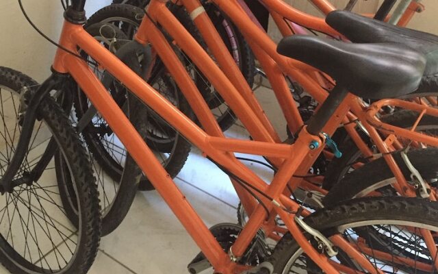 Apartamentos Discovery Coast