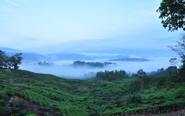 Sabah Tea Resort