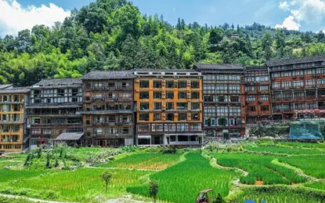 Rice Field View Homestay