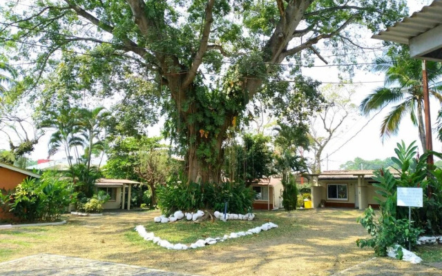 Hotel La Colonia