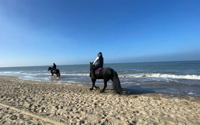 Näher am Wasser kann man nicht wohnen!