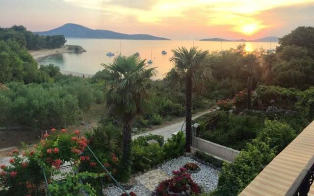 Delfin - sea View - A3 Zeleni